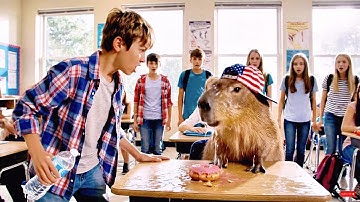 Everyone Misunderstood Capybara’s Kind Heart