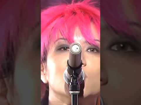 Hide with Spread Beaver - Rocket Dive Live