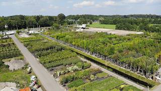 Drone shots Planta groencentrum B.V. Drone shots Planta groencentrum B.V.