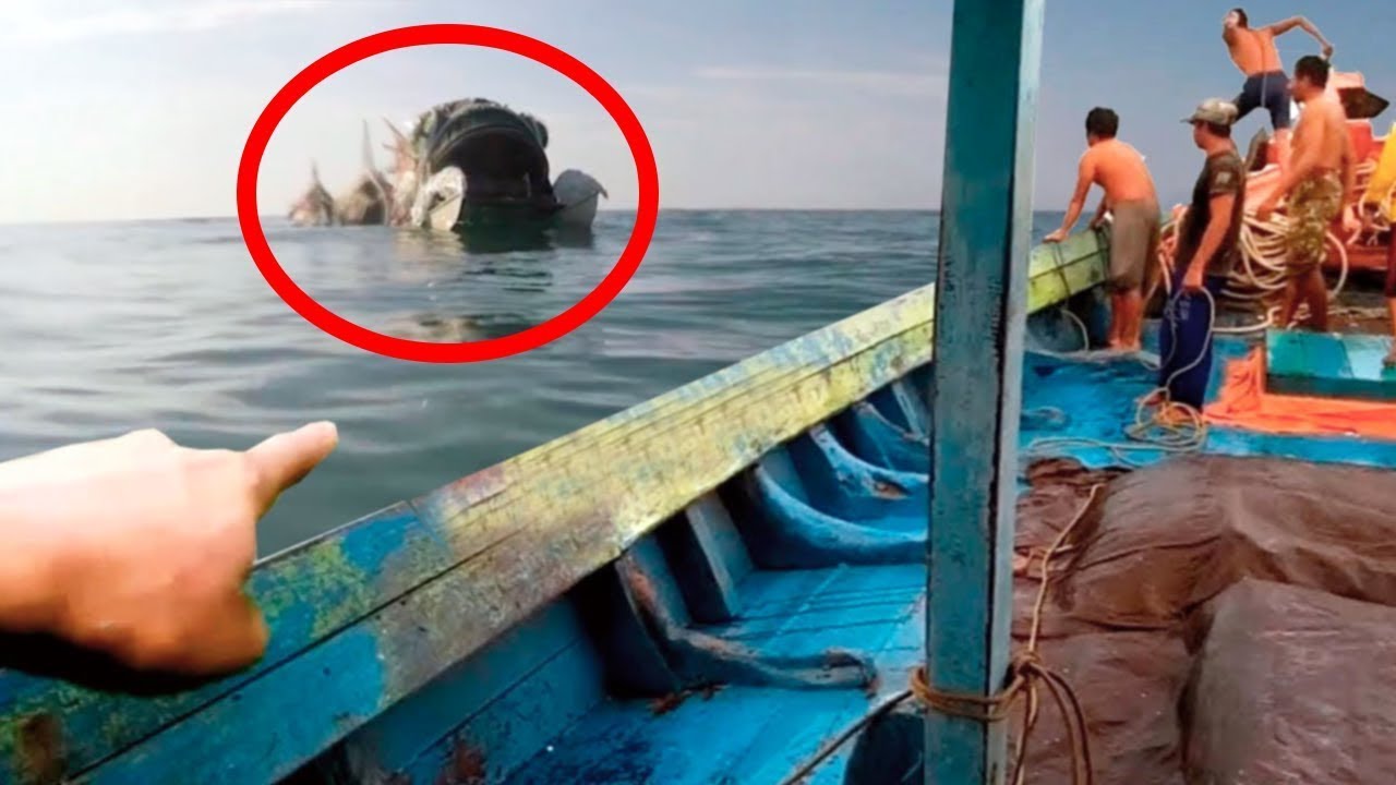 BARCO PESQUEIRO DESCOBRE ALGO ATERRORIZANTE NO MAR QUE CHOCA O MUNDO INTEIRO