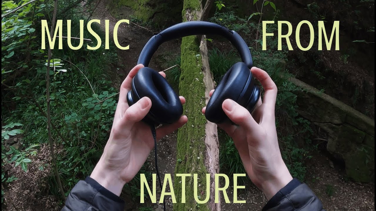 Nature's Rhythm | Music from Field Recordings