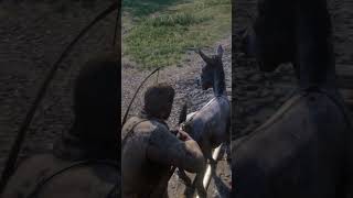 RDR2: Donkey Attack Gone Wrong 😱 | Man Shoots Wild Kick Beast #shorts