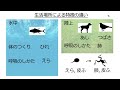 脊椎動物の特徴