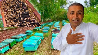 How To Start Honey Farming in Pakistan | 3 Box Khareed Liye 😍 | Village Food Secrets | Mubashir