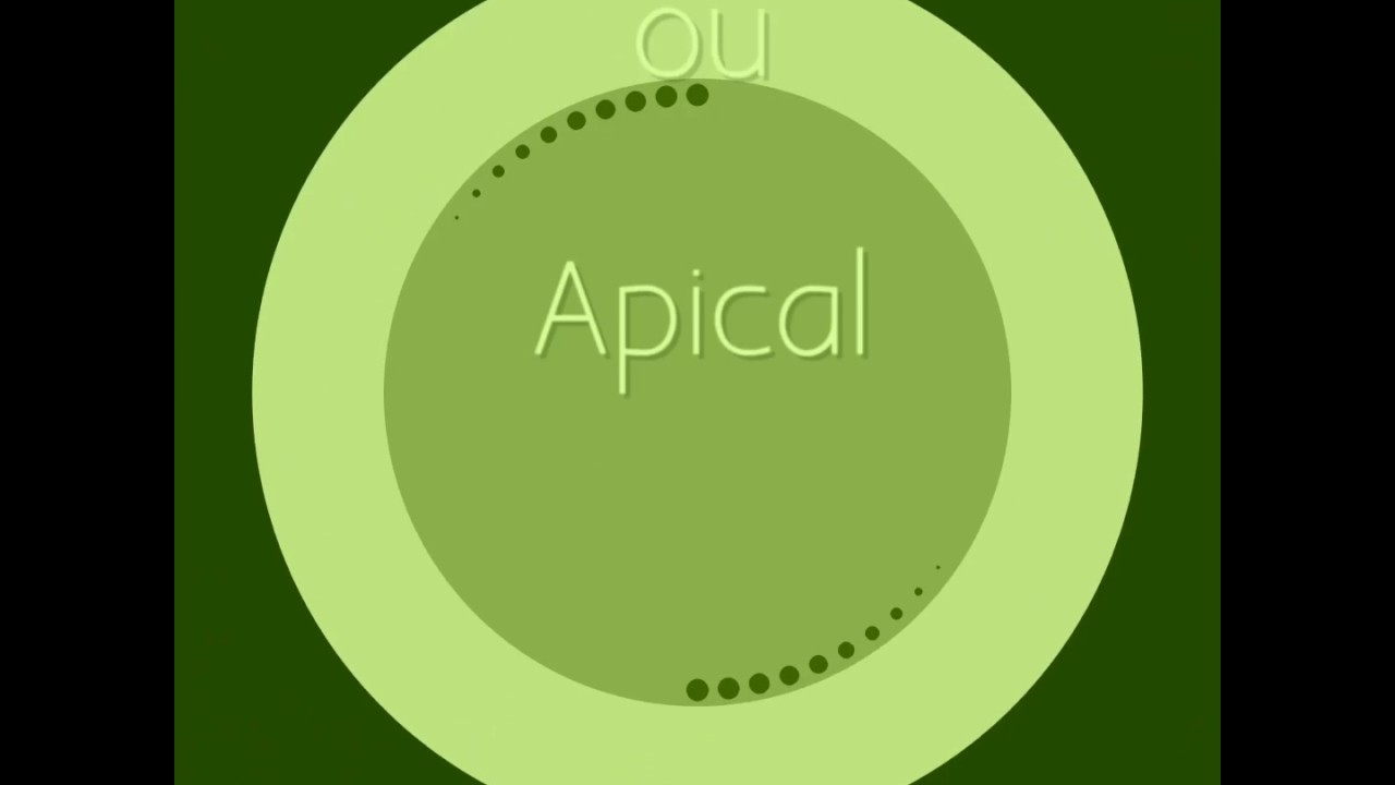 Plantando cannabis #5 poda Top, Apical