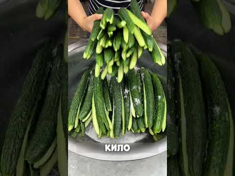 Узбечка зарабатывает на огурцах МИЛЛИОНЫ🤯🏙️🥒