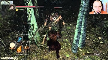 Dark Souls 2 PC Walkthrough Gameplay Part 41 "Fang Door & Huntsman Copse" PC