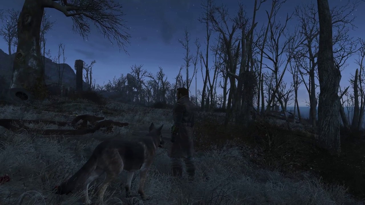 Fallout 4 -Tenpines Bluff- Drumlin Diner