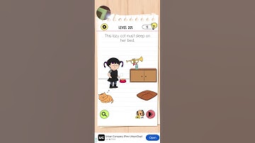 level 205 brain test 4