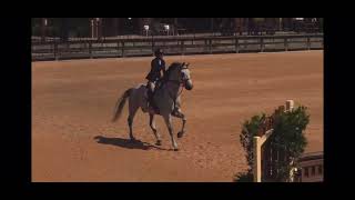 Blockley | 2021 Tryon International Equestrian Center