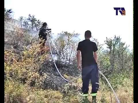 ორფოლოში ხანძარი ლოკალიზებულია