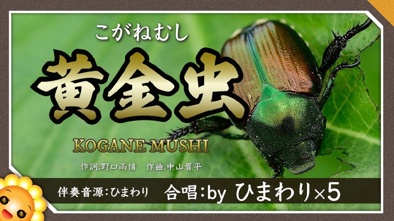 黄金虫(♬コガネムシは金持ちだ)【合唱】byひまわり×5🌻|歌詞付き