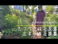 【オープンガーデン】王道の花からマニアックな花まで。センス溢れる個人庭での花談義