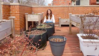 All The Containers I Use In My Garden | Rooftop Deck Gardening