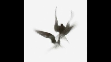 [LOOP] COLD - 104 bpm - G minor (guitar, dark, piano)