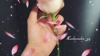 Baxma Dərdli Dərdli