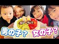 【性別発表】5人目はどっちかな?ついに子ども達にサプライズ報告!