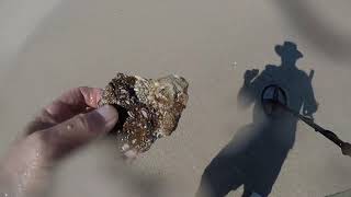 Did I find a Piece of the Java Arrow? Round Island Beach Park and Submarine Attack Memorial