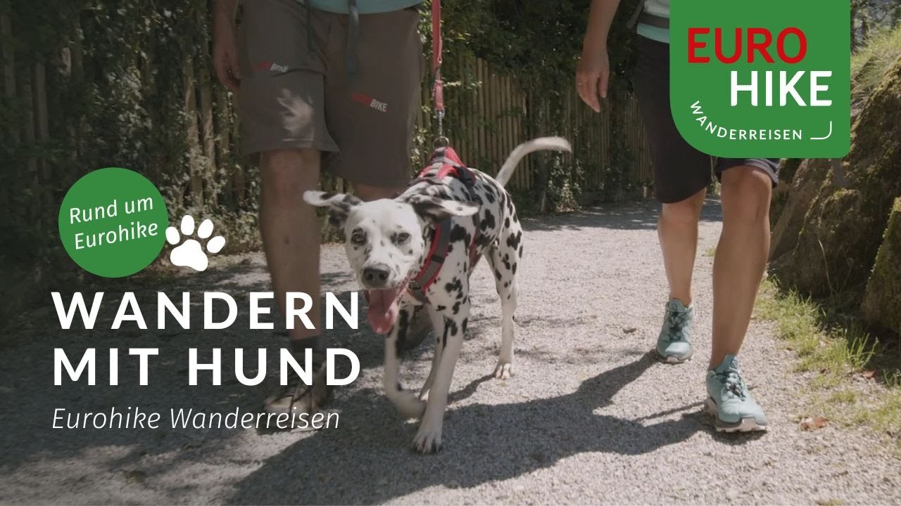 Wanderurlaub mit Hund Touren, Tipps & FAQs Eurohike