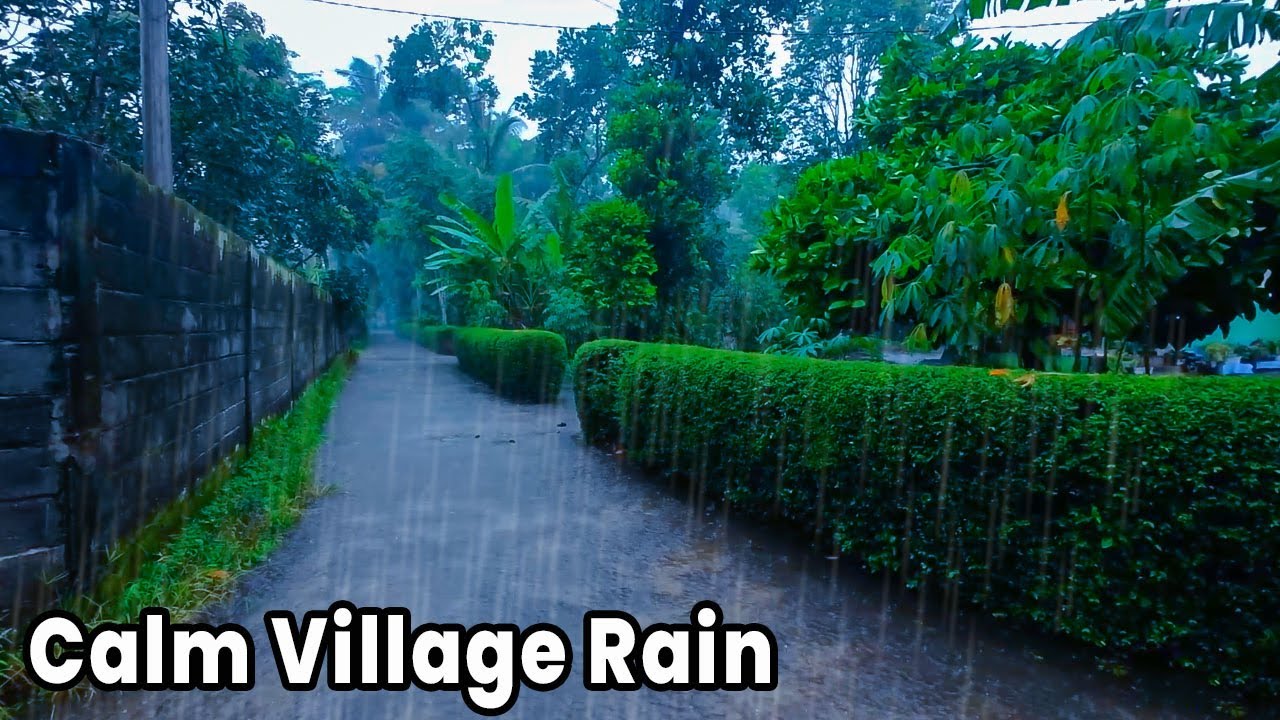 Your New Sleep Therapy | Calm Village Rain Ambience | ASMR