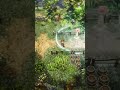 the adventures of elliot #adventure #games #squareenix #actionrpg #finalfantasy #steam #ps5 #switch