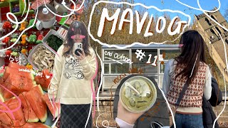 Mavlog 11 Recess Week In Scotland