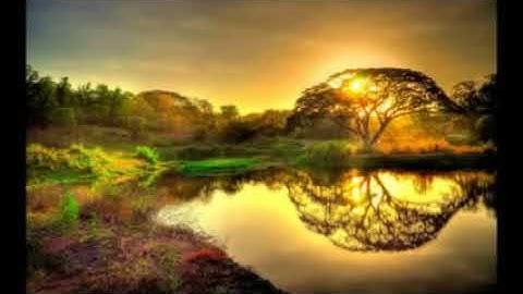 تلاوة جميلة بصوت الشيخ فيصل الناصر || TRTEEL HD