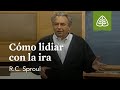 Cómo lidiar con la ira: Cómo enfrentar problemas dificiles con R C  Sproul