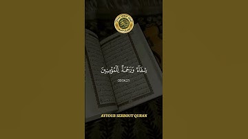 سورة الإسراء الآية 82 تلاوة شيخ الغامدي