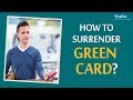 Before you Give Up Green Card 15 Things to Consider