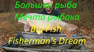 #Мечта_рыбака #рыба #ПРИКОЛЫ #Big #fish. #Fisherman's #dream#Fishing#Рыбалка #Мечта_рыбака #рыба #ПРИКОЛЫ #Big #fish. #Fisherman's #dream#Fishing#Рыбалка