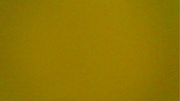 waheed sir live intraction with students