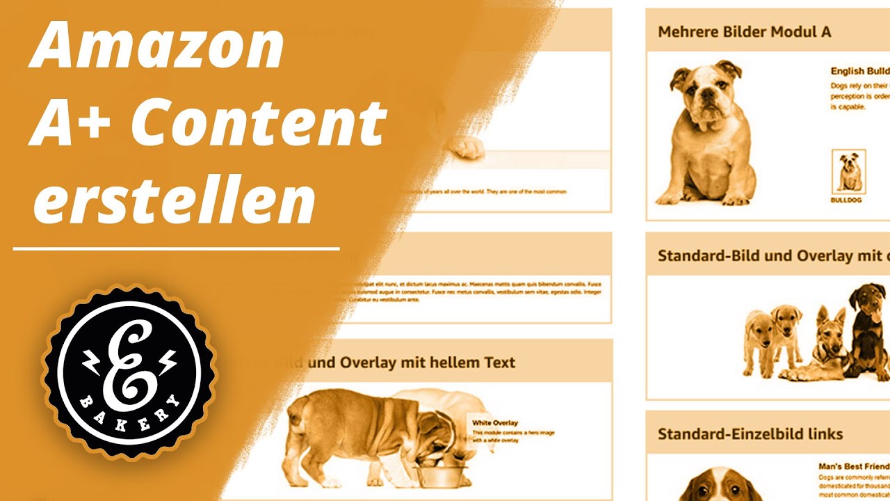 Amazon A+ Content - Wie erstelle ich Amazon A+-Inhalte? | Amazon Tutorial deutsch