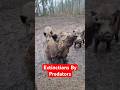 Nature Gets Violent: Species That Erased Others