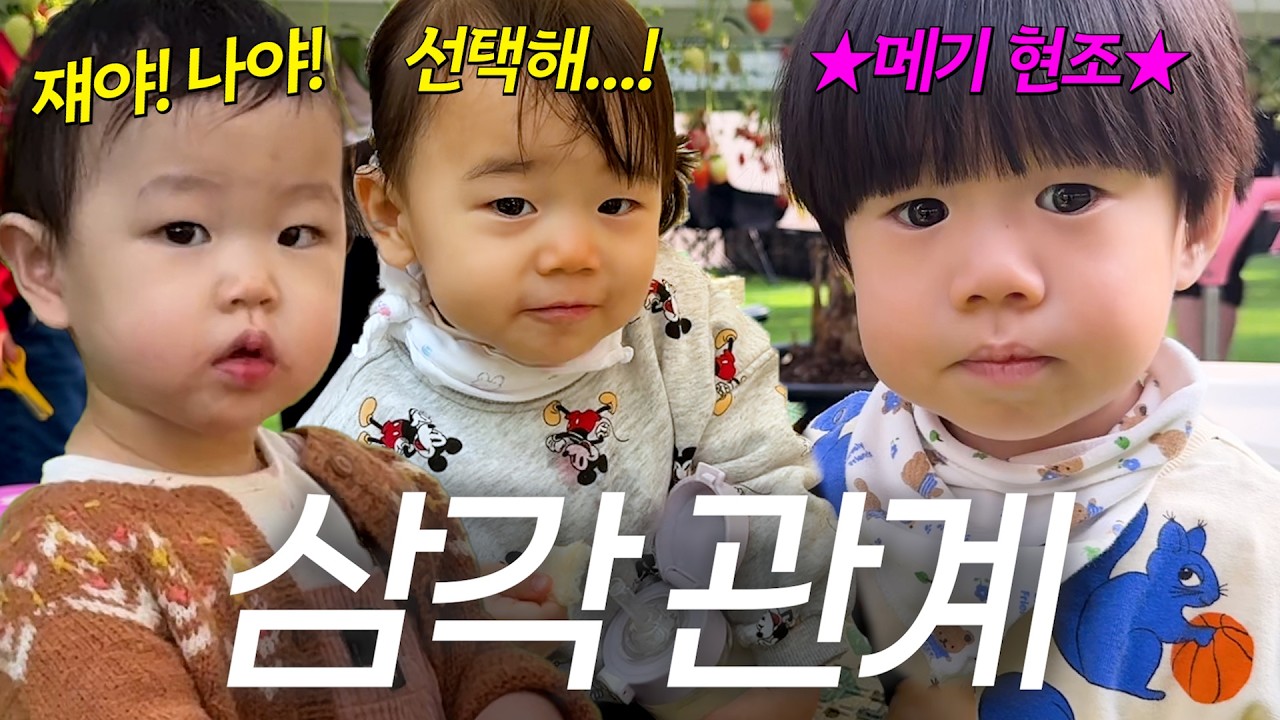 {육아로그} 메기현조