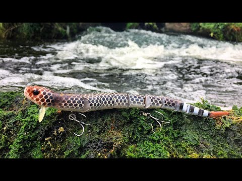 EXPERIMENT: Fishing With VENOMOUS SNAKE Lure!!! - ( INSANE RESULTS!!! ) 