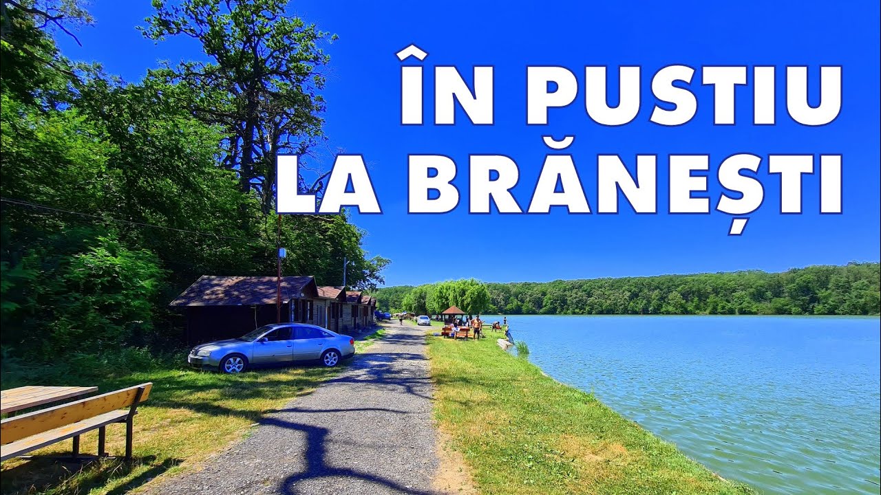 ZONE PUSTII: BRĂNEȘTI ȘI HERĂSTRĂU
