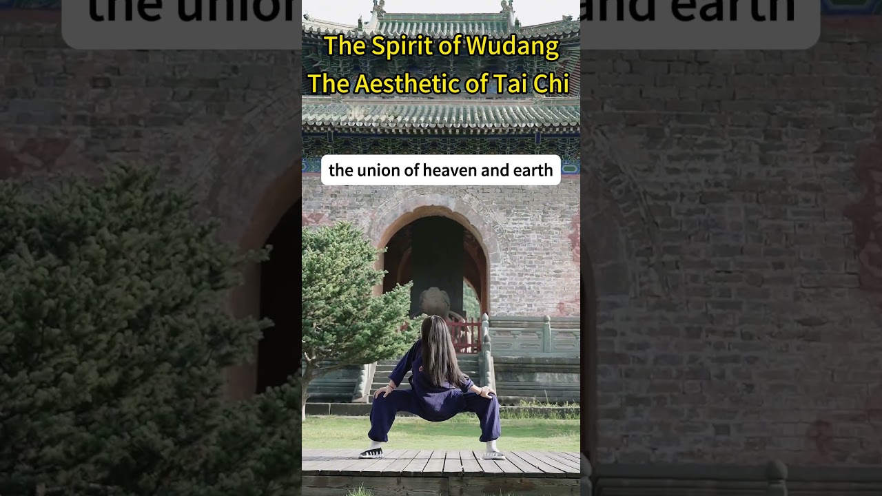 The Spirit of Wudang The Aesthetic of Tai Chi  