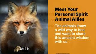 Shamanic Healing with Animals &amp; Nature | You Are Not Powerless