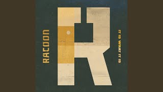 It Is What It Is - Racoon
