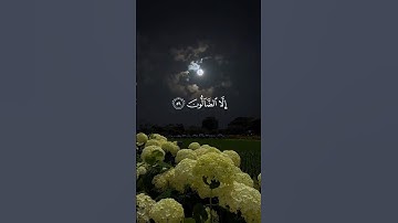 القارئ : هزاع البلوشي ﴿ قَالَ وَمَن يَقْنَطُ مِن رَّحْمَةِ رَبِّهِ إِلَّا الضَّالُّونَ﴾[ الحجر: 56]