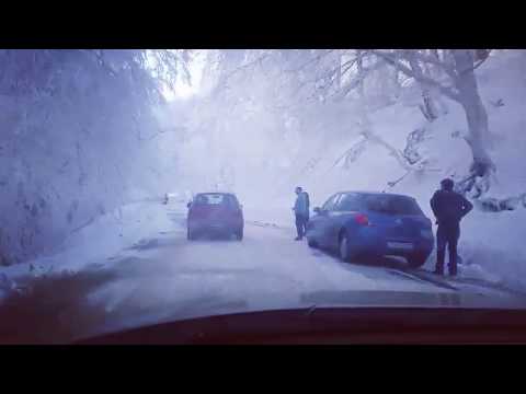 საბადურის ტყე ❤ ცხვარიჭამია ულამაზესი ადგილი