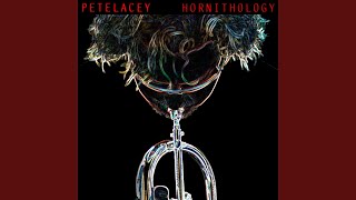 Hometown Glory (feat. Kim Van Tuyl) - Pete Lacey