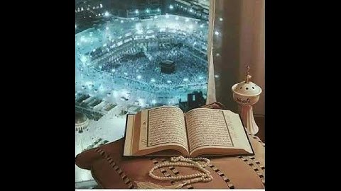 112سورة الإخلاص الشيخ ممدوح عبداللاه الهاشمي                              م