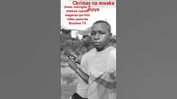 Amos Malingita Funny Dancefilm Comedy 