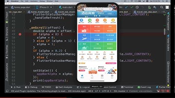 4 8 Flutter调试技巧