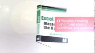 Excel 2013 Mastering the basics