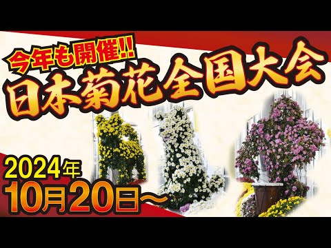 定本 菊花大観/全日本菊花連盟】株式会社：主婦の友社 定本 菊花