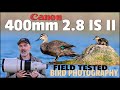 Real World Test of Canon's 400mm 2.8 IS II Lens for Bird Photography. Does It Take Great Shots?