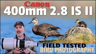 Real World Test of Canon's 400mm 2.8 IS II Lens for Bird Photography. Does It Take Great Shots?